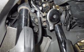 YAMAHA YZF-R25 2006 RG10J