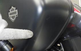 HARLEY FLSB 1750 2019