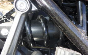 KAWASAKI Z900RS 2025 ZR900K