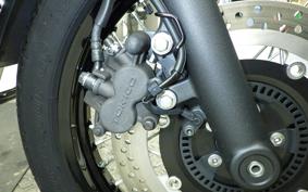 KAWASAKI W800 CAFE 2021 EJ800B