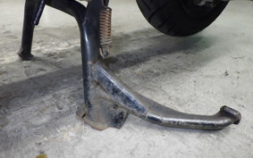 HONDA FORESIGHT EX MF04