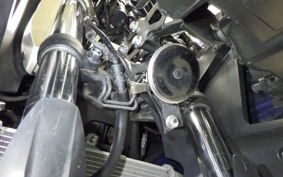YAMAHA YZF-R25 RG10J