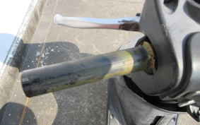 YAMAHA AKUSHI STREET SE53J