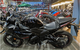 YAMAHA YZF-R25 RG43J