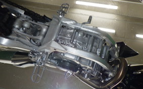 TRIUMPH TF450RC 2021