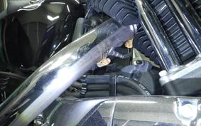 HARLEY XL1200XS 2019