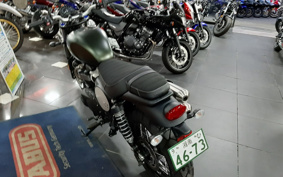 TRIUMPH TRIUMPH SCRAMBLER 2024 DAD78G