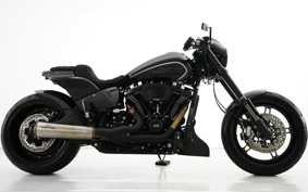 HARLEY FXDRS 2020 YVK