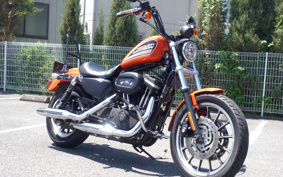 HARLEY XL883R 2008 CS2