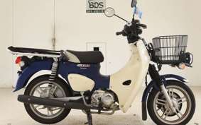 HONDA C110 SUPER CUB JA61