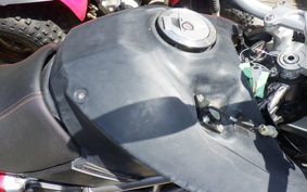 APRILIA CAPONORD 1200 2015
