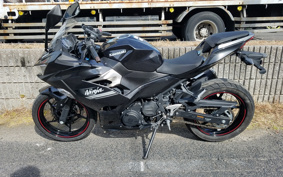 KAWASAKI NINJA 250 EX250P