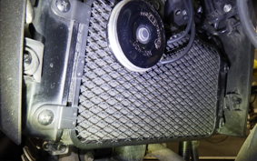 SUZUKI Vｽﾄﾛｰﾑ250 2006