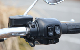 HARLEY FXBR 2026 YE9