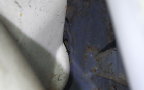 HONDA GYRO CANOPY TA02