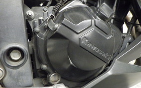 KAWASAKI Z250 ER250C