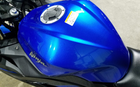 KAWASAKI NINJA 250 EX250L