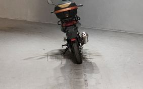 YAMAHA YBR250 PCNL