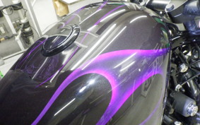 HARLEY XL1200V 2013