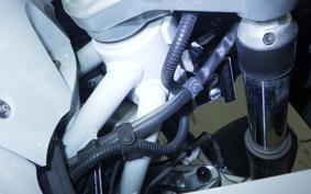 BMW R1250GS 2024