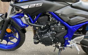 YAMAHA MT-25 RG43J