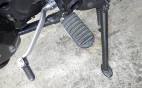 KAWASAKI KLX250D TRACKER X 2025 LX250V