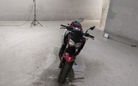 KAWASAKI Z250 EX250P