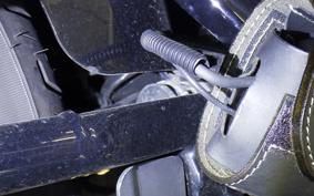 HARLEY FXST1750 2024