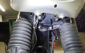 KAWASAKI W800 CAFE 2020 EJ800B