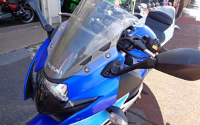 SUZUKI GSX250 R DN11A