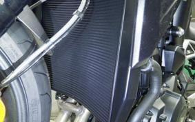 TRIUMPH STREET TRIPLE R 2026