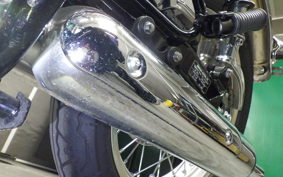 KAWASAKI W800 2022 EJ800E