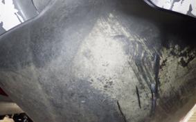 HONDA GIORCUB 2017 AF53