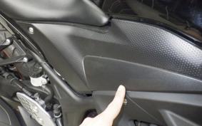 YAMAHA YZF-R25 RG10J