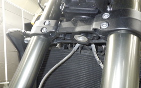 TRIUMPH STREET TRIPLE RS 2024