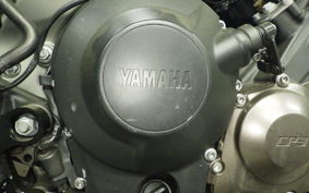 YAMAHA MT-09 2014 RN34J