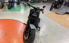 HARLEY FXFBS 2024 YLK