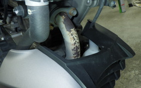 SUZUKI GSX-S125 2024 DL32D