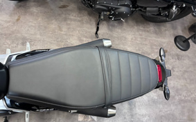 TRIUMPH SPEED TWIN 900 2025 DP0G21