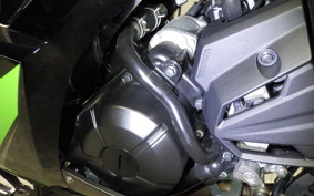 KAWASAKI NINJA 250 ABS 2024 EX250L