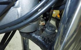 YAMAHA TRICKER Gen.2 2020 DG16J