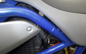 BMW HP2 MEGAMOTO 2008