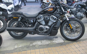 HARLEY RH975 NIGHT STAR 2023 ZF1