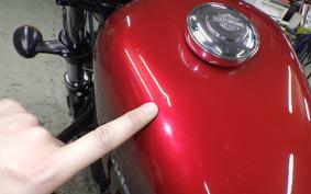 HARLEY XL1200XS 2019
