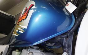 YAMAHA TT250R RAID 4GY