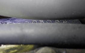 YAMAHA TW225<ｴ･ﾀﾞ> DG09J