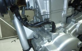 YAMAHA WR250R 2023 DG15J