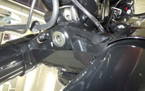 INDIAN Chief Dark Horse bobber 2024