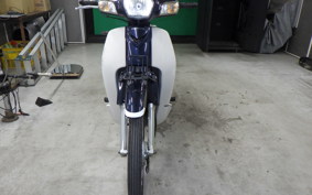 HONDA C110 SUPER CUB 2021 JA10