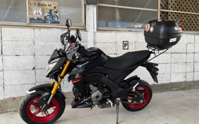 KAWASAKI Z125 PRO BR125H